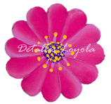 L5-022 Flor Margarita de frente 2.5cm