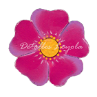 L5-023 Flor China 5cm