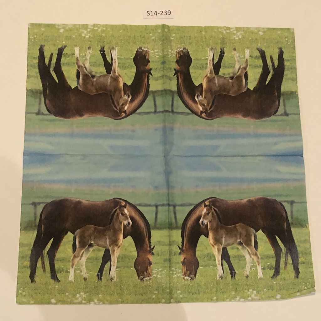 S14-239 Servilletas de Animales CABALLO