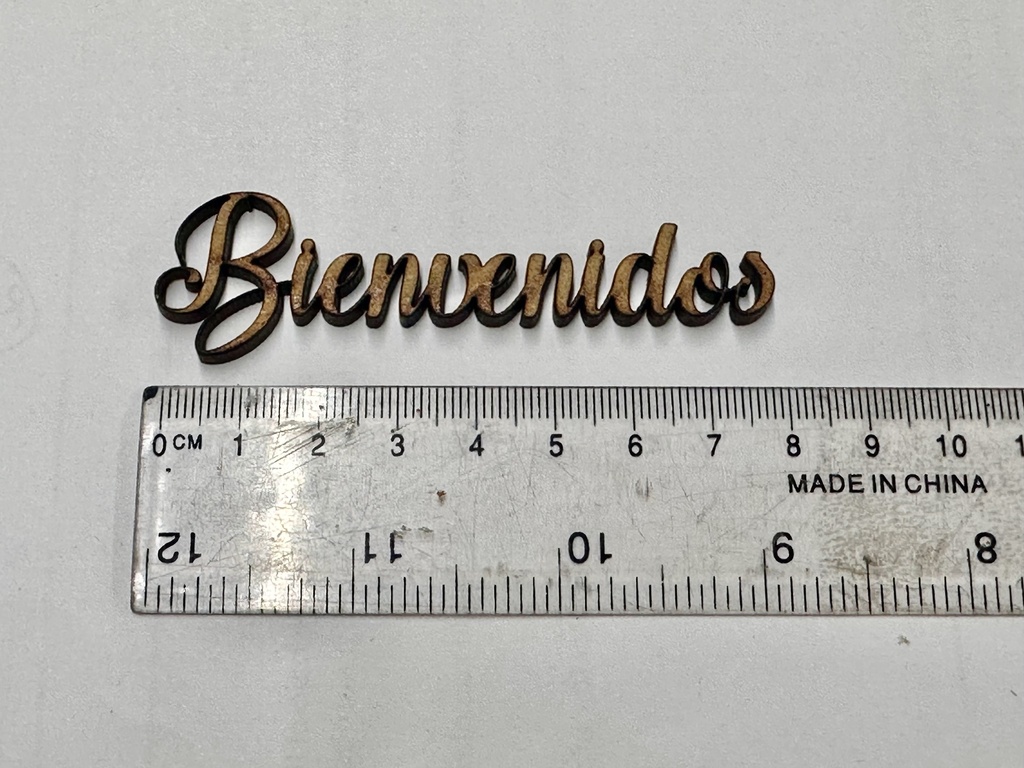 L19-106a palabra Bienvenidos manuscrita 8cm