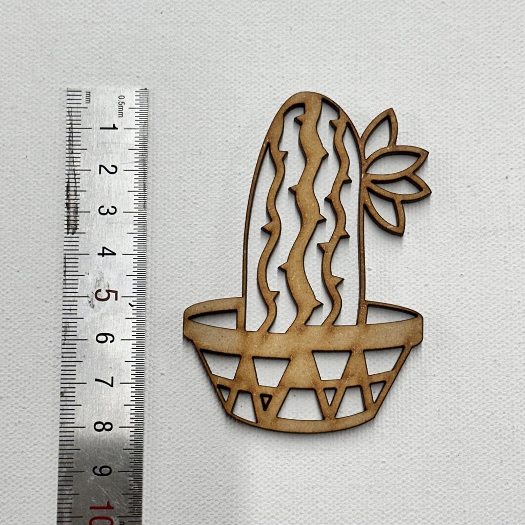 L5-186 Cactus 6 en maceta 8cm esqueleto