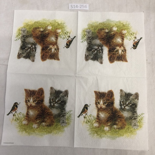 S14-256 Servilletas de Animales gatos