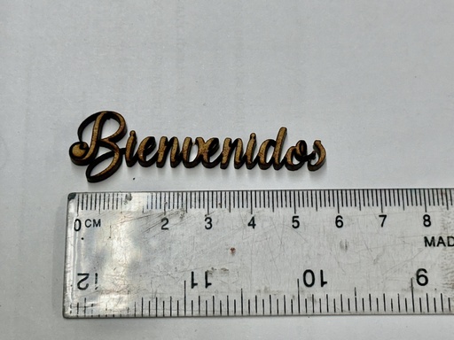 L19-106b palabra Bienvenidos manuscrita 6cm