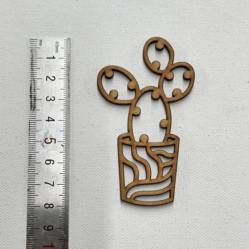 L5-187 Cactus 7 en maceta 8cm esqueleto