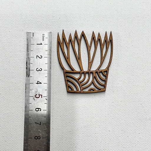 L5-189 Cactus 9 en maceta 5cm esqueleto